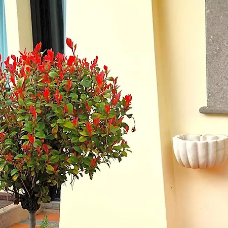 Gemelli Hotel 3*