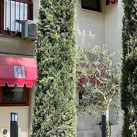 Hotel Gemelli 3*